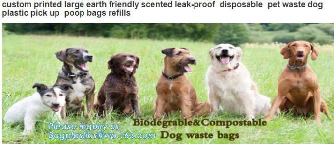 Colorful Outdoor Dog Cleaning Waste Bag Environmental Protection