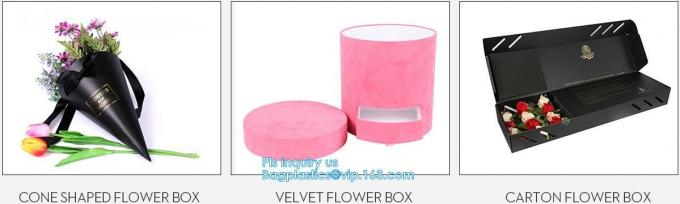 Sun Glasses Paper Packaging Box Case , Display Clear Pvc Gift Box