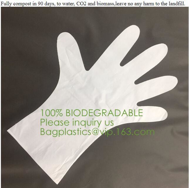 Custom Cornstarch 100 Compostable Biodegradable Trash bag,PLA compostable plastic fresh