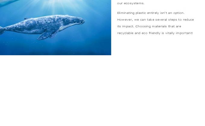 Compostable Mailing Eco Friendly Shipping Bags With Eco Friendly Packaging Envelopes Supplies Mailing Bags 3