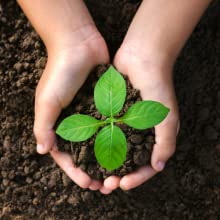 Corn starch Eco Bio Plant based PLA+PBAT Mailing Bag Waterproof Clothing Pouch Compostable Self-Seal Eco Express Bag 3