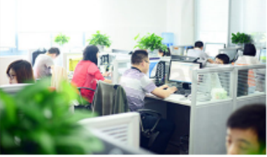 250ml 500ml 1000ml 1 Litre Gallon Plastic PET Storage Container HDPE Chemical Use F Style Jugs Bottle 1