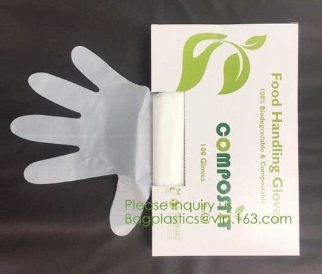 Biodegradable and compostable PLA gloves,OEM cheap biodegradable kitchen disposable gloves with EN13432 BPI OK compost h