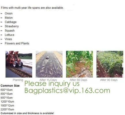 Factory Manufacturer EN13432 100% Compostable and biodegradable Agricultural Mulch film, starch plant based wrap film pa