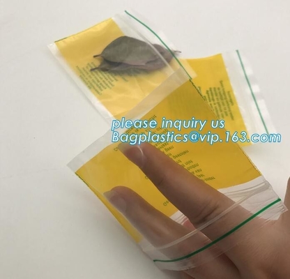 Factory custom color small red / pink / green / yellow / blue resealable Zip lockkk bag for decorations, bagplastics, bageas