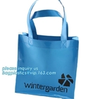 Las compras biodegradables de los bolsos de las mujeres empaquetan el hombro semi claro Tote Beach