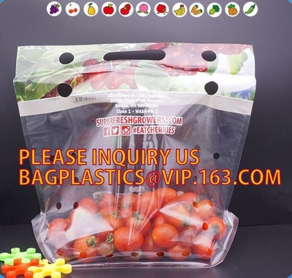 cherry tomato bags / laminated dry fruit packaging bag, Fruit Vegetable Packaging Bag, fruit protection bag with vent ho