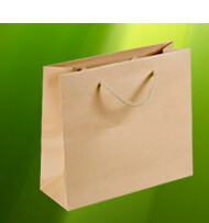 China Manufactures Wholesale Luxury boutique Clothing paper carrier bags with logo,High-End Luxury Unprinted Cardboard S