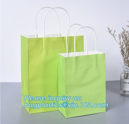 Brown Eco Retail Packaging Customized Paper Shopping EN13432 Certification