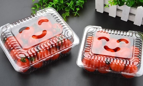 Hot Selling Plastic PET Sandwich Containers Cake Bread Container Plastic Takeaway Food Box with conjoined cover bagease