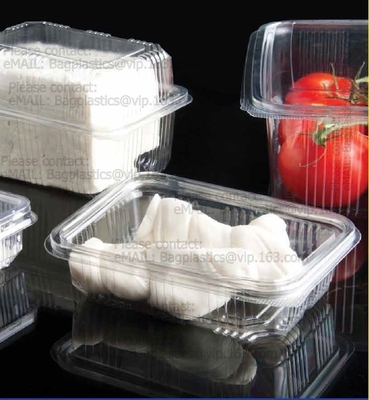 Factory Blister Plastic Storage Box Food Packaging Containers Disposable Supplier,containers plastic macaron blister cla