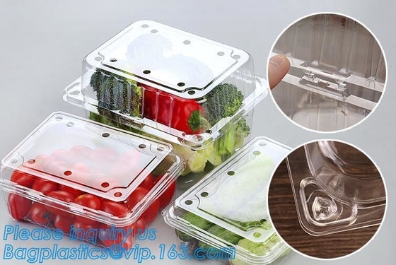 Blister Packaging Food Container,Disposable Blister Fruit Salad Container,Plastic blister fruit box / container / fruit