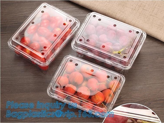 Blister Packaging Food Container,Disposable Blister Fruit Salad Container,Plastic blister fruit box / container / fruit