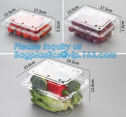 Blister Packaging Food Container,Disposable Blister Fruit Salad Container,Plastic blister fruit box / container / fruit