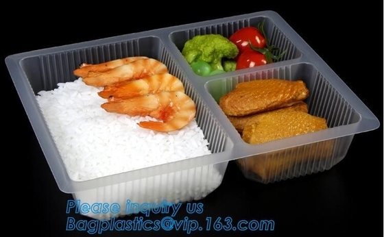 transparent pp bento box,lunch box plastic disposable compartment food containers,food,lunch,BBQ,noodles,salad,corn kern