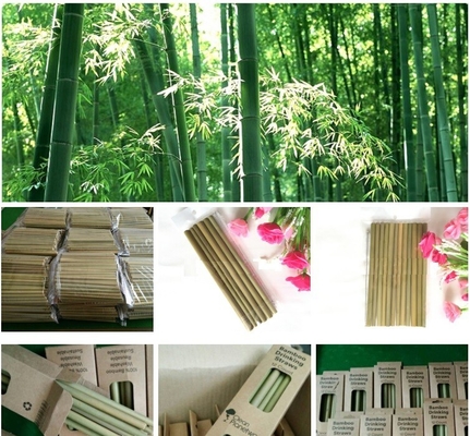 Organic Reusable Hand-Crafted Natural Eco Bamboo Drinking Straws,Natural Bamboo Drinking Straws with customized logo pac