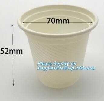 FDA Paper Cup Biodegradable Disposable Sugarcane Bagasse Coffee Cup