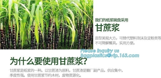 eco sugarcane pulp disposable biodegradable plate,Factory 100% Biodegradable Disposable Sugarcane Paper Raw Material Com