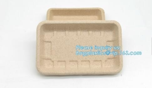 Biodegradable &amp; Compostable 8 inchSquare sugarcane trays,sugarcane pulp compostable serving tray,lunch tray bagasse suga