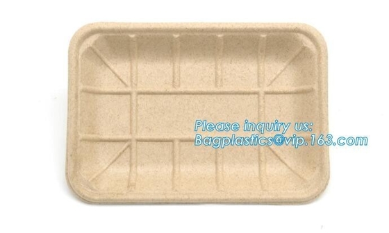 Biodegradable &amp; Compostable 8 inchSquare sugarcane trays,sugarcane pulp compostable serving tray,lunch tray bagasse suga