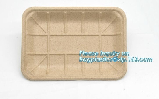 Biodegradable &amp; Compostable 8 inchSquare sugarcane trays,sugarcane pulp compostable serving tray,lunch tray bagasse suga