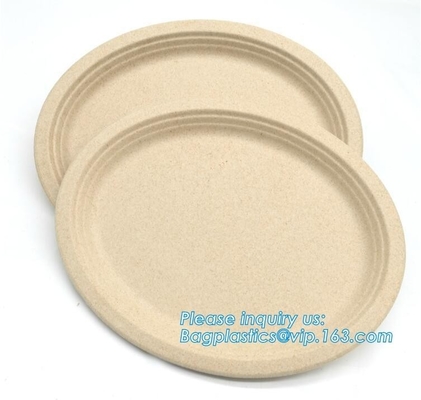 Biodegradable plate food grade green sugarcane bagasse plate,10&quot; sugarcane ecofriendly disposable oval plate bagease pac