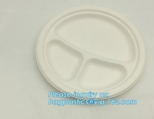 Biodegradable plate food grade green sugarcane bagasse plate,10&quot; sugarcane ecofriendly disposable oval plate bagease pac