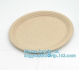 biodegradable tableware 5 compartment sugarcane tray,100% Biodegradable Disposable Sugarcane Paper Raw Material Composta