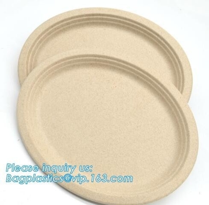 biodegradable tableware 5 compartment sugarcane tray,100% Biodegradable Disposable Sugarcane Paper Raw Material Composta