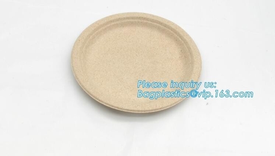 biodegradable tableware 5 compartment sugarcane tray,100% Biodegradable Disposable Sugarcane Paper Raw Material Composta