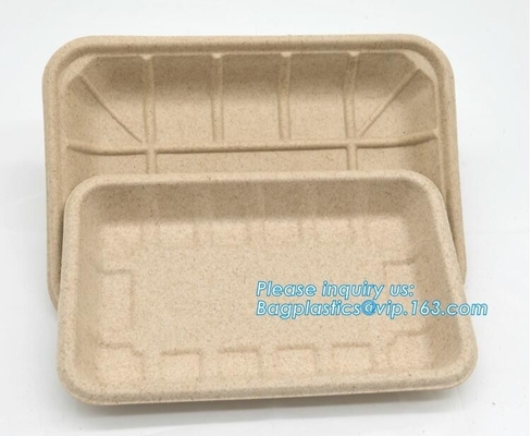 Compartment hinged container sugarcane bassage pulp food serving box 750ml bassage take out container bagplastics packa