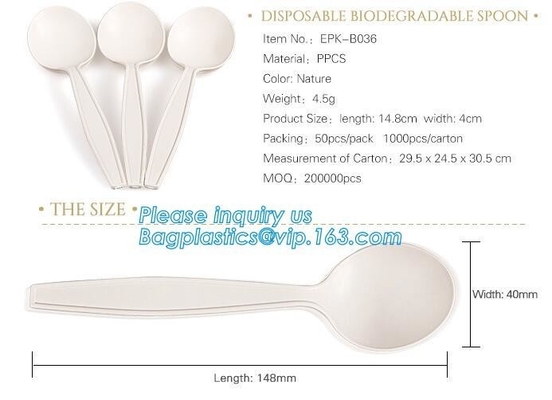 factory direct biodegradable corn starch 5 inch dessert spoon,food grade disposable biodegradable corn starch spoon pac