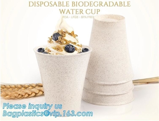 Custom Disposable Clear Cold Drink Juice Cup 100% Ecofriendly Biodegradable Compostable PLA Plastic Coffee Drinking Cup