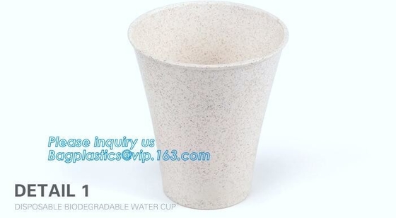 Custom Disposable Clear Cold Drink Juice Cup 100% Ecofriendly Biodegradable Compostable PLA Plastic Coffee Drinking Cup
