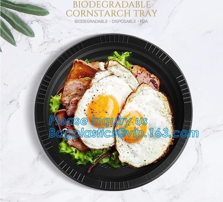 Eco Friendly Biodegradable Sugarcane Bagasse Plates Disposable,Sugarcane Bagasse Pulp Disposable Biodegradable Plate For