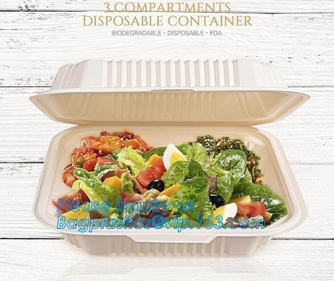 Disposable corn starch bento lunch box takeaway food container,take away box PLA PP mixed biodegradable corn starch food