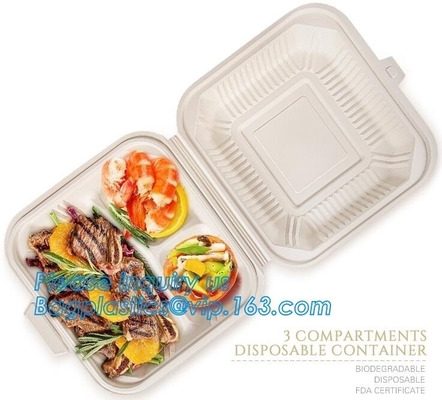 Disposable corn starch bento lunch box takeaway food container,take away box PLA PP mixed biodegradable corn starch food