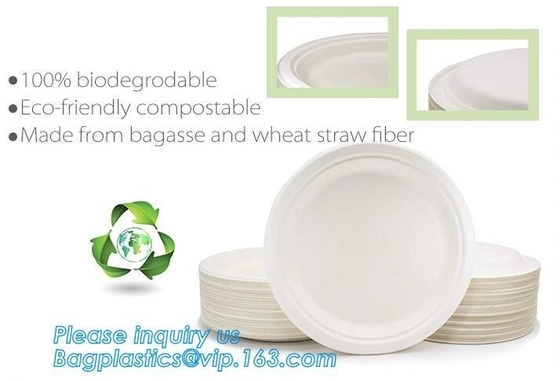 Paper Pulp Sugarcane Bagasse 10&quot; Round Plates Dessert Dinner Deep Thali