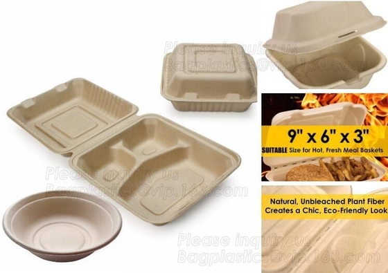 EN13432 Eco Friendly Dinnerware Corn Starch Disposable Lunch Container