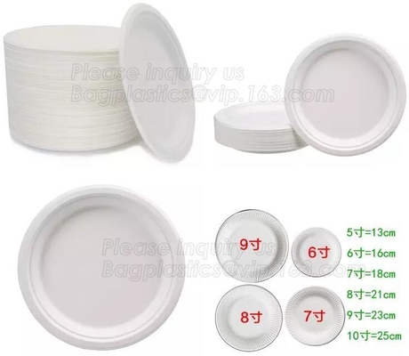 100% Biodegradable Compostable Sugarcane Pulp Packaging Disposable Paper Plate