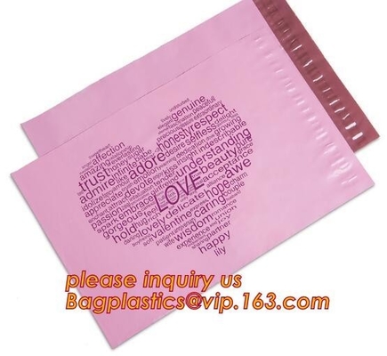 Custom Logo Express Biodegradable Mailing Bags Christmas Padded Envelopes