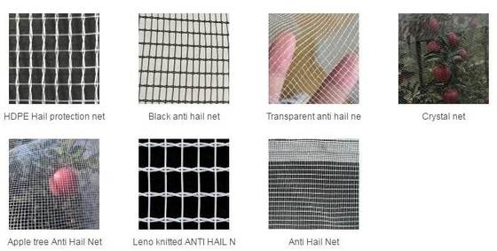 Anti insect net, anti bug net, anti aphid net, mesh anti insect net,shade sail,shade net, anti hail net,protection net