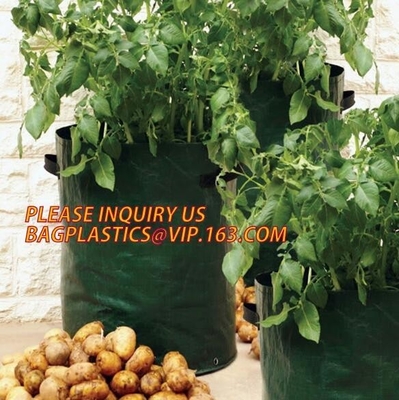 Heavy Duty Biodegradable Garden Bags Potato Grow Murphy PE Fabric Gallon Durable