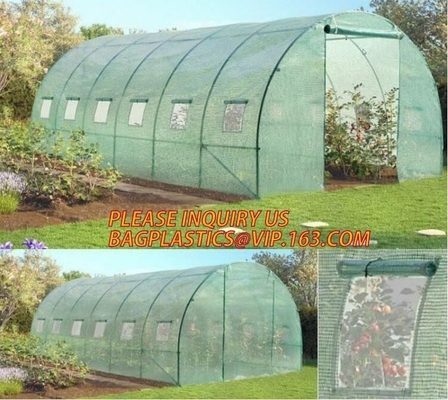 Polycarbonate Plastic Sheet Agricultural Mini Garden Green House Walk In Dome