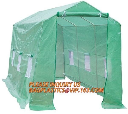 Polycarbonate Plastic Sheet Agricultural Mini Garden Green House Walk In Dome