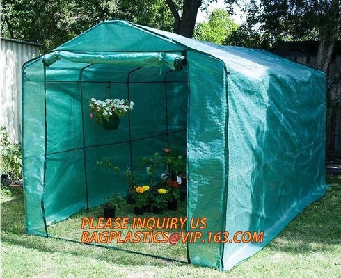 Polycarbonate Plastic Sheet Agricultural Mini Garden Green House Walk In Dome