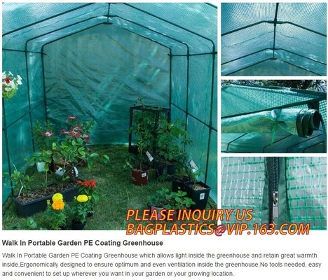 Polycarbonate Plastic Sheet Agricultural Mini Garden Green House Walk In Dome