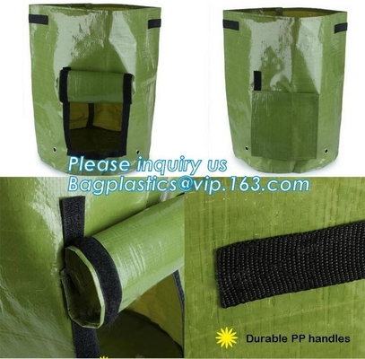 garden plant/ patato/vegetable grow bags,2gallon hotsales fabric pots grow bags for plant flower grow bag plant potato o