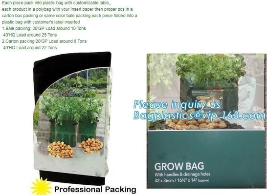 garden plant/ patato/vegetable grow bags,2gallon hotsales fabric pots grow bags for plant flower grow bag plant potato o