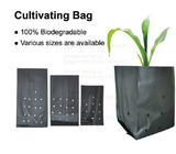 Effective UV Stabilized Black White Plastic Growing Bag / Polyethylene Jumbo Tree Planter Bag,Poly seedling bag 5 gallon